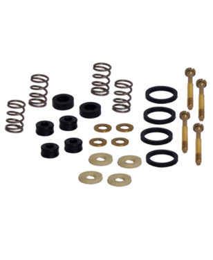 Pre Rinse Valve Assembly Repair Kit C9509 aluids