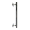 Stainless Grab Bar